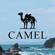 CAMEL骆驼